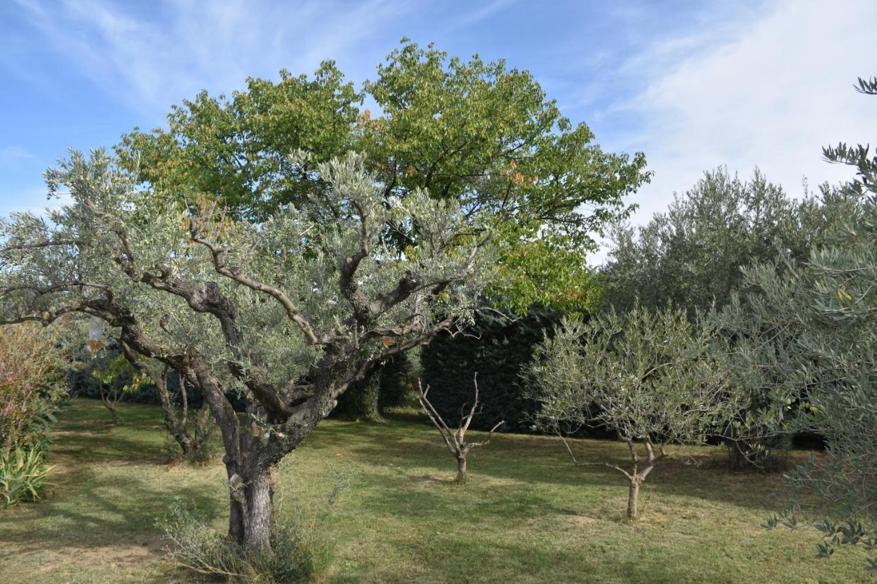 Aux Reves Des Mees Villa Les Mées Buitenkant foto